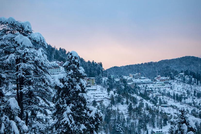 Shimla, Himachal Pradesh